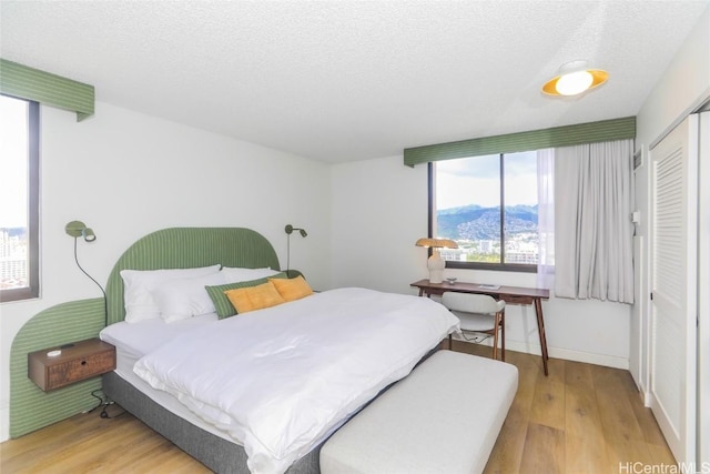 bedroom with a textured ceiling, light hardwood / wood-style floors, and a closet