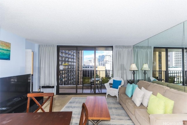 living room with a wall of windows and a textured ceiling