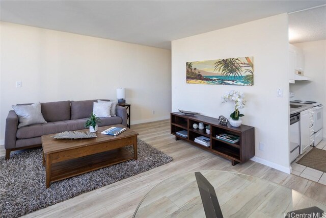 living room featuring light hardwood / wood-style floors