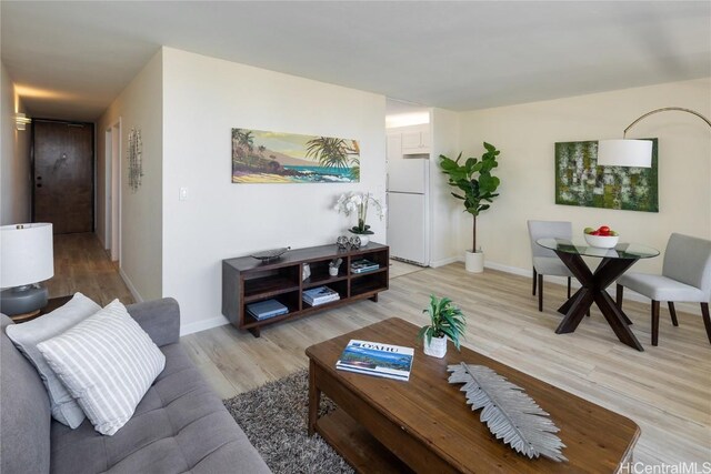 living room with light hardwood / wood-style flooring