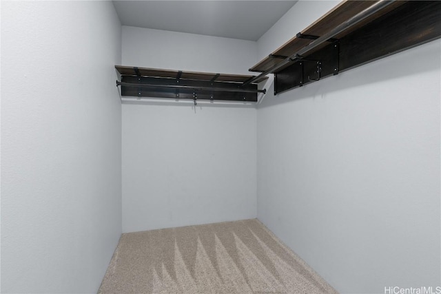 spacious closet with carpet flooring