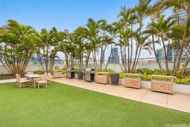 view of yard with a patio