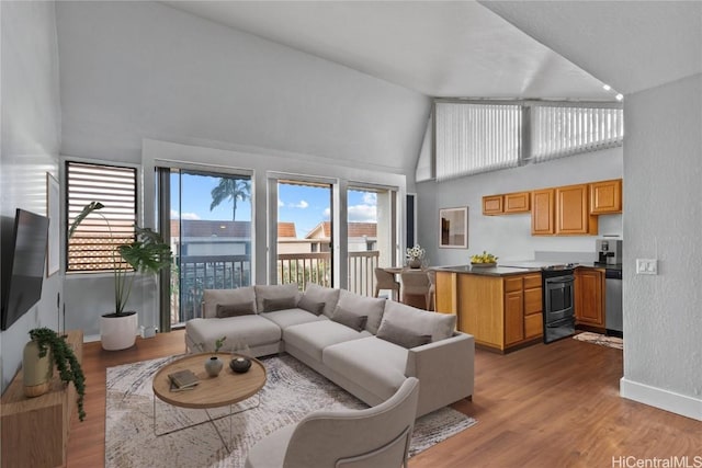 living room featuring light hardwood / wood-style floors and high vaulted ceiling