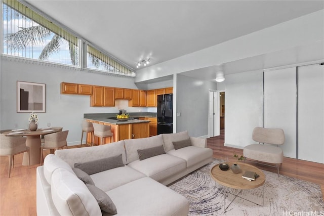 living room with high vaulted ceiling and light hardwood / wood-style flooring