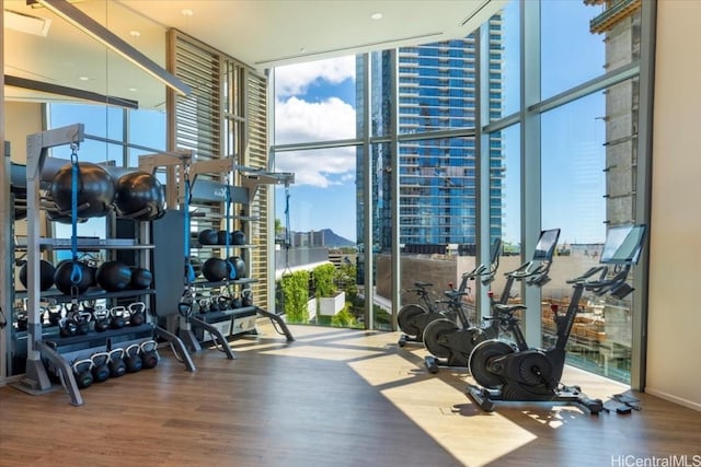 gym with hardwood / wood-style floors, plenty of natural light, and expansive windows