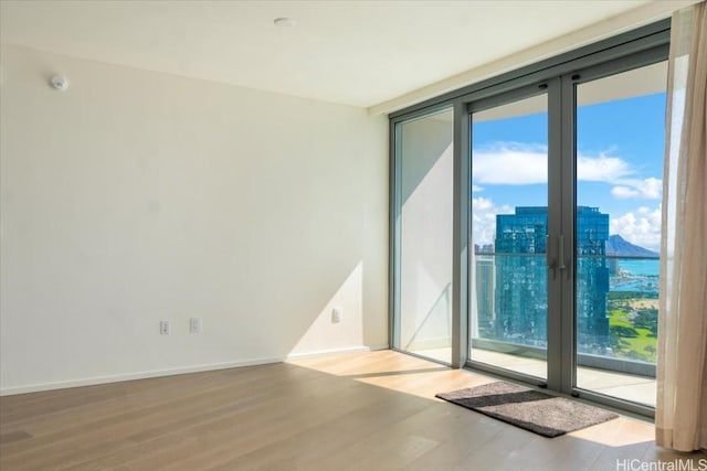 unfurnished room featuring light wood-type flooring and a wall of windows