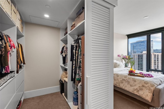 1108 Auahi St Unit 2208, Honolulu, HI 96814 - view of walk in closet
