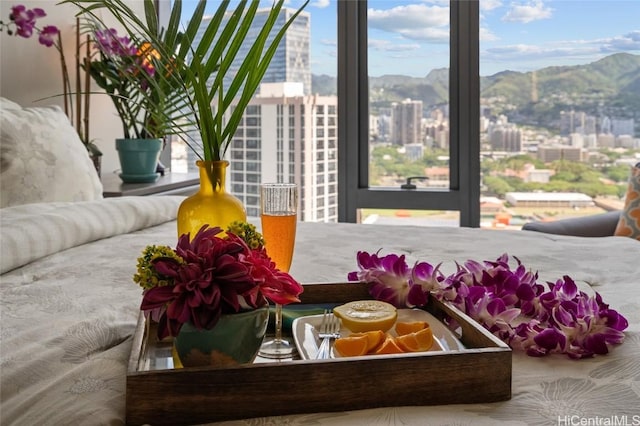 interior space featuring a mountain view and plenty of natural light