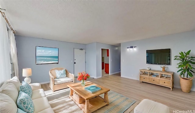 living room with light hardwood / wood-style flooring