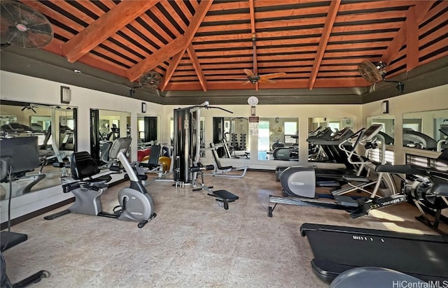 exercise room featuring high vaulted ceiling