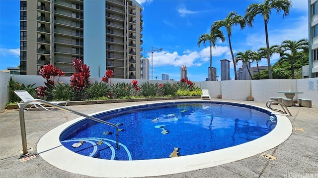 view of swimming pool