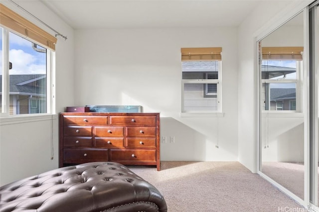 bedroom with light carpet