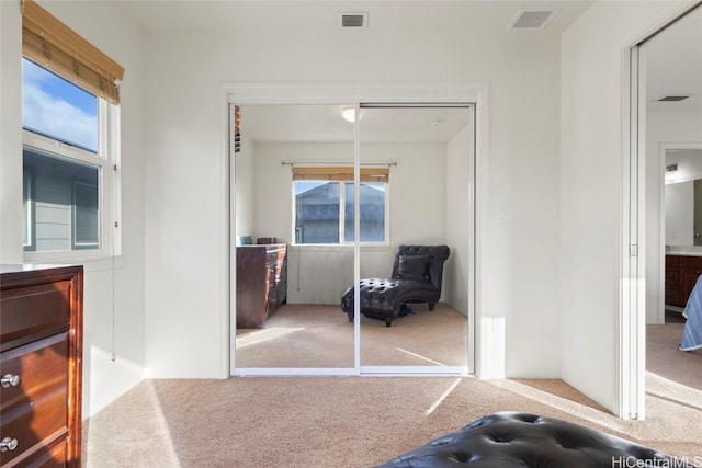 interior space featuring carpet floors and a closet