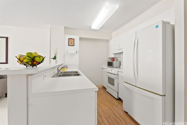 kitchen with light wood-type flooring, white appliances, a textured ceiling, sink, and white cabinets