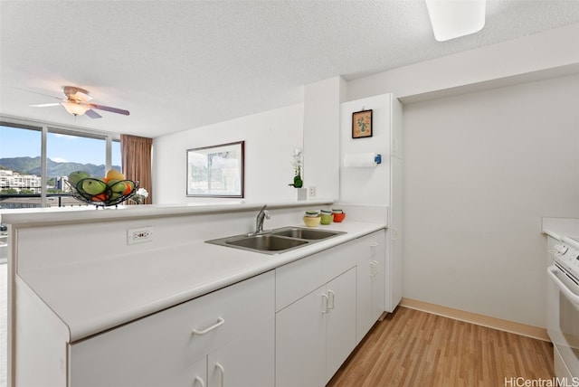 kitchen featuring a mountain view, a textured ceiling, sink, light hardwood / wood-style flooring, and white cabinets