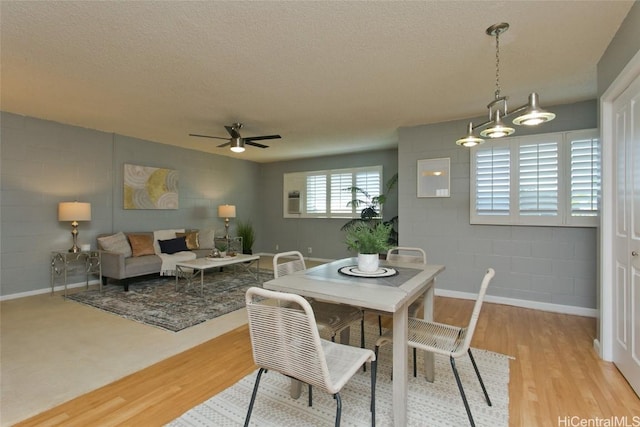 dining room with ceiling fan, light hardwood / wood-style flooring, and a textured ceiling