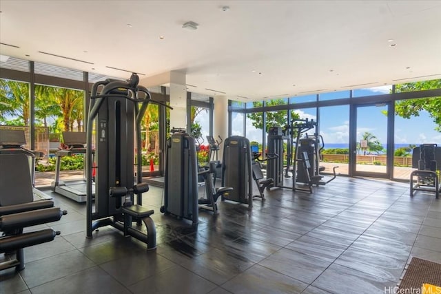 exercise room featuring expansive windows