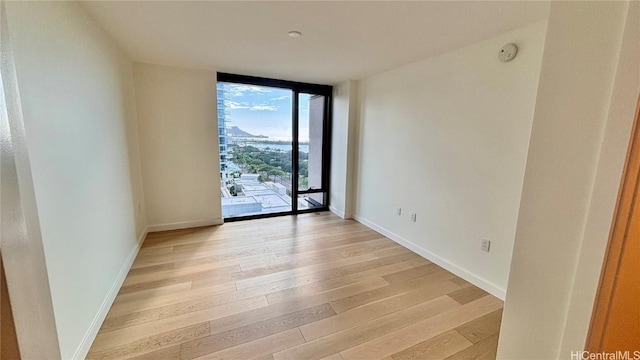 spare room with floor to ceiling windows and light hardwood / wood-style flooring