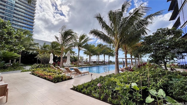 view of swimming pool featuring a patio