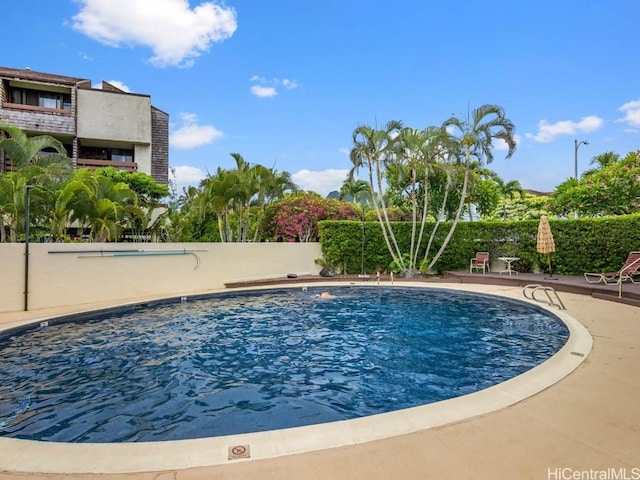 view of pool with a patio