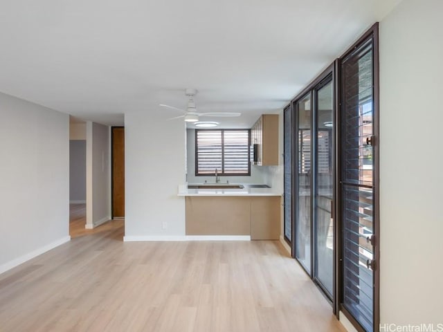 kitchen featuring ceiling fan, a wall of windows, sink, and light hardwood / wood-style flooring