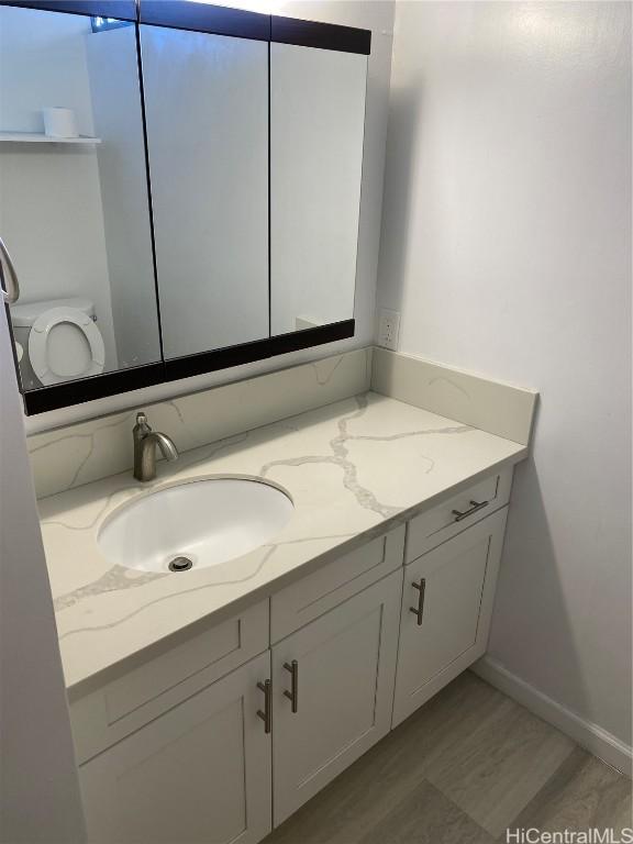 bathroom with wood-type flooring, vanity, and toilet