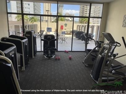 workout area featuring expansive windows and carpet floors