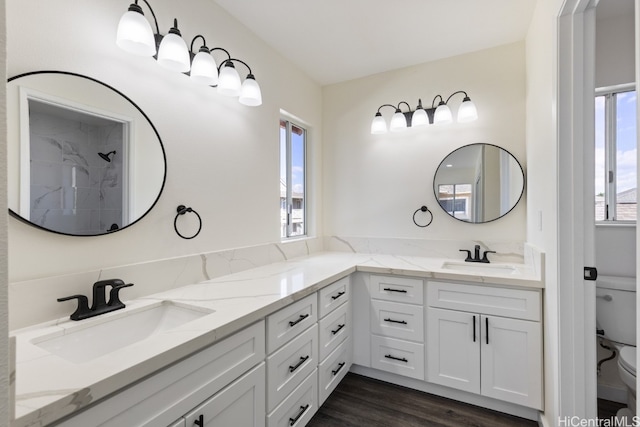 bathroom with wood-type flooring, vanity, toilet, and a wealth of natural light