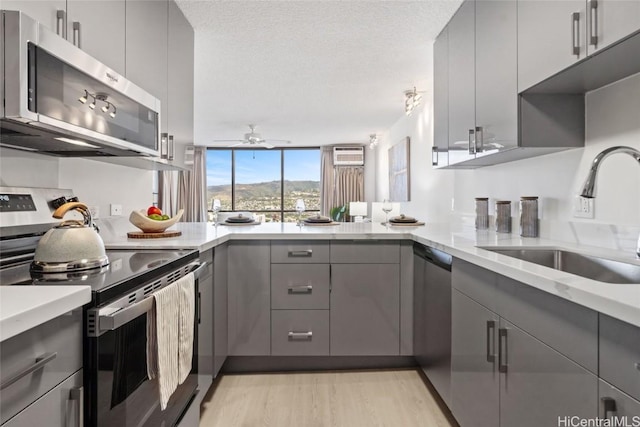 kitchen featuring ceiling fan, sink, light hardwood / wood-style flooring, gray cabinets, and appliances with stainless steel finishes