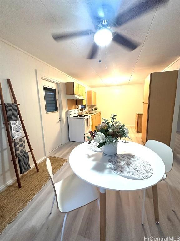 dining space with a ceiling fan, light wood-style flooring, and a textured ceiling