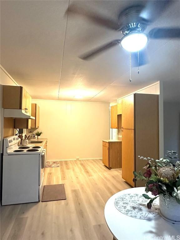 kitchen featuring ceiling fan, under cabinet range hood, light wood-style floors, electric stove, and light countertops