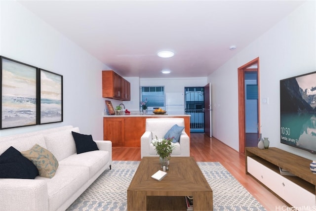 living room with light hardwood / wood-style flooring