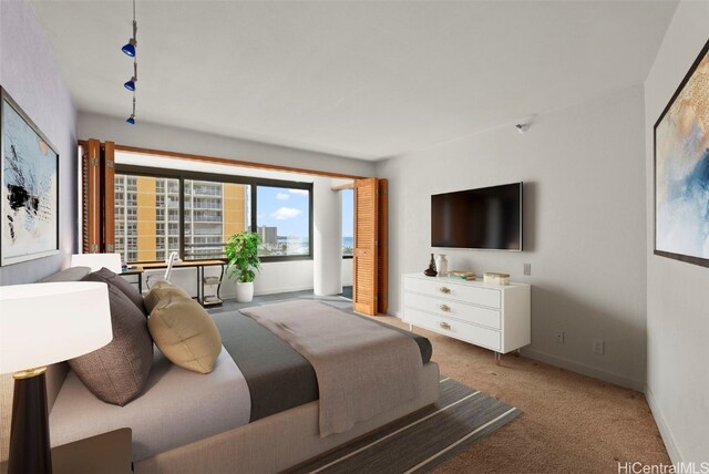 bedroom featuring carpet flooring