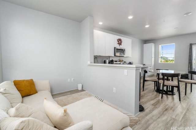 living room featuring light hardwood / wood-style flooring