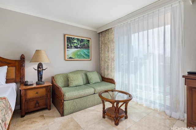 living room featuring ornamental molding