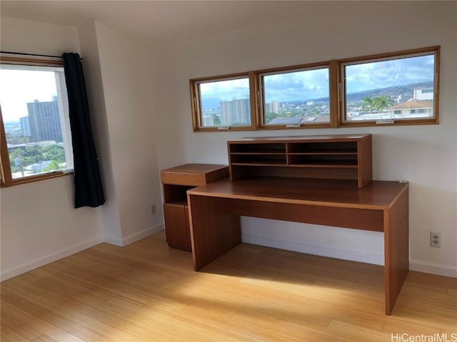 unfurnished office with light wood-type flooring