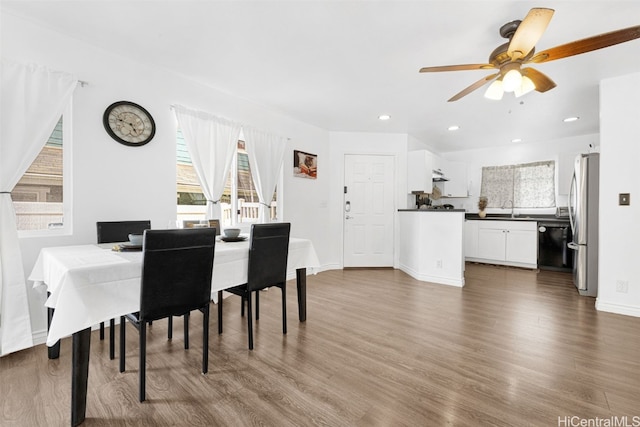 dining area featuring hardwood / wood-style floors, ceiling fan, and sink