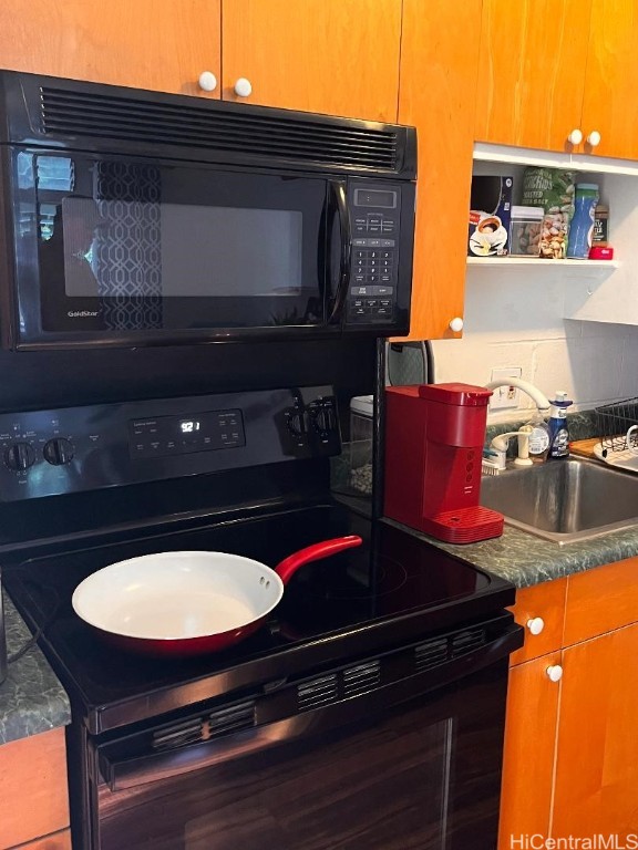 room details with black appliances and sink