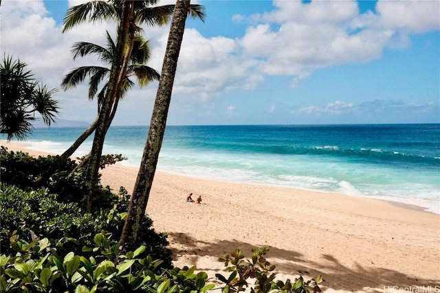 water view featuring a beach view