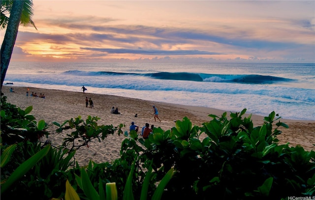 59-471 Ke Waena Rd, Haleiwa, HI 96712 - photo 5