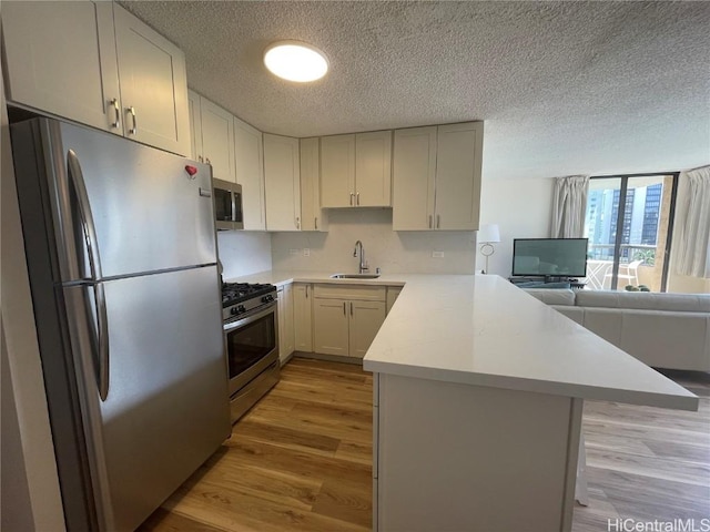 kitchen with kitchen peninsula, appliances with stainless steel finishes, light hardwood / wood-style floors, and sink