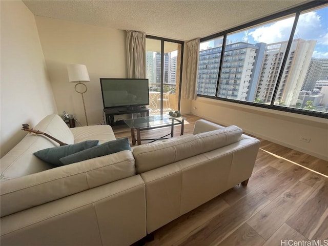 living room featuring wood-type flooring and a textured ceiling