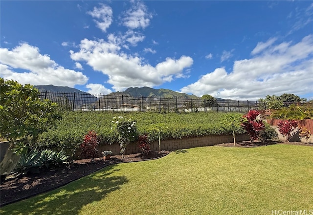 view of yard with a mountain view