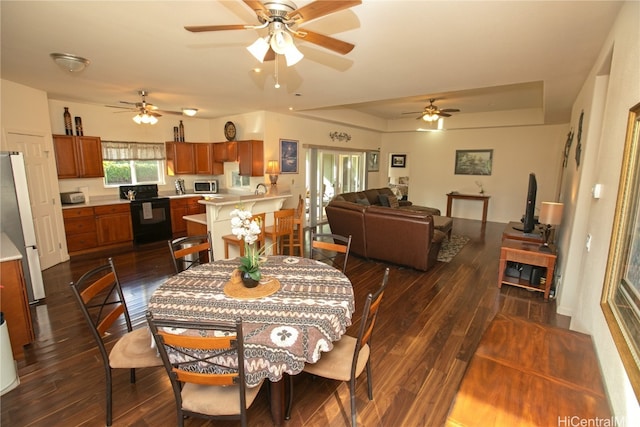 dining room with dark hardwood / wood-style floors and a raised ceiling