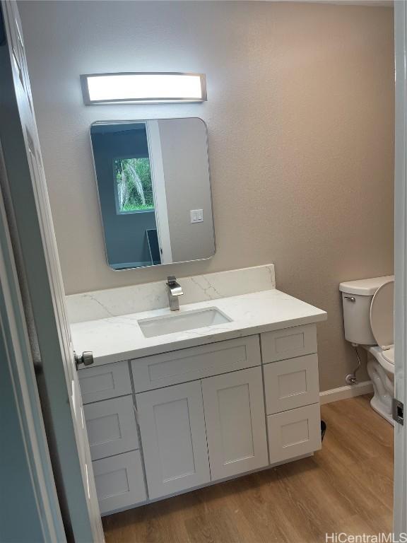 bathroom with hardwood / wood-style flooring, vanity, and toilet