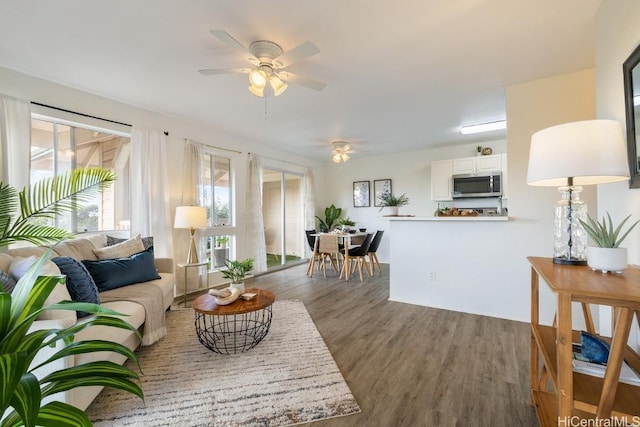 living room with ceiling fan and dark hardwood / wood-style flooring