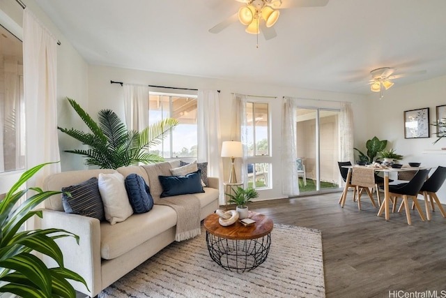 living room with ceiling fan and wood-type flooring