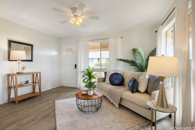 living room with hardwood / wood-style floors and ceiling fan