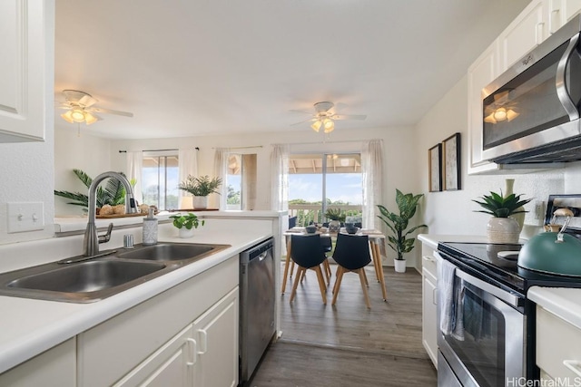 kitchen featuring appliances with stainless steel finishes, white cabinetry, a wealth of natural light, and sink