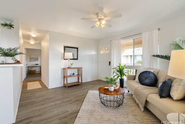 living room featuring ceiling fan and dark wood-type flooring